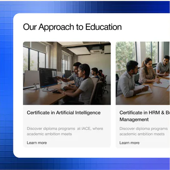 IACE interface, view 3